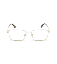 Load image into Gallery viewer, VPLG69 530300_01